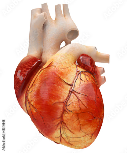 Nowoczesny obraz na płótnie heart