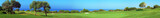 Fototapeta Do akwarium - Panorama of Golf field, sea and olives