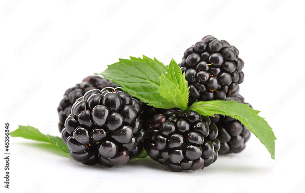 beautiful blackberries with leaf isolated on white