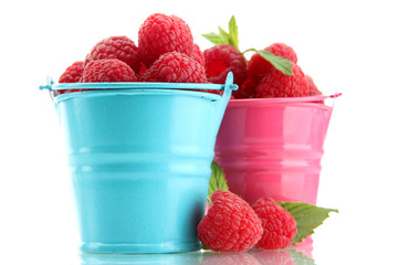 beautiful raspberries in buckets isolated on white