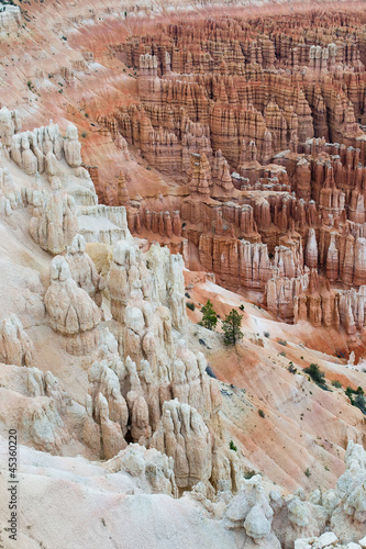 Naklejka na szybę bryce canyon