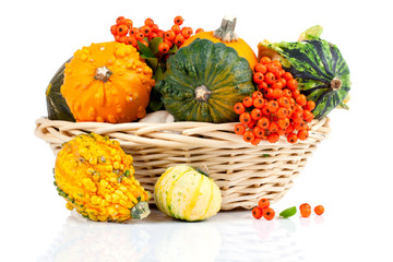 Autumn pumpkins in a straw basket, isolated on the white backgro