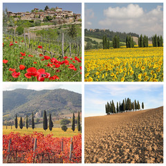 Poster - four seasons collage with spectacular tuscan landscape images