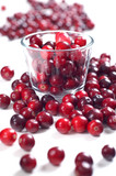 Fresh cranberries Isolated on white