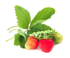 Wall Mural - Strawberry with leaves