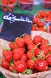 strawberry, fraises bio du marché