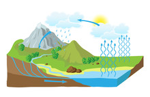 Vector Schematic Representation Of The Water Cycle In Nature