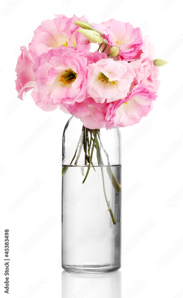 bouquet of eustoma flowers in bottle, isolated on white