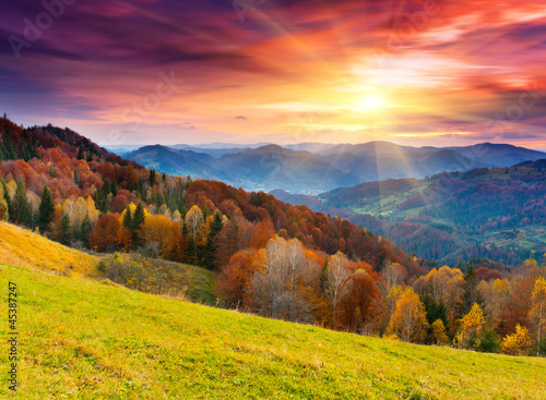 Naklejka nad blat kuchenny autumn