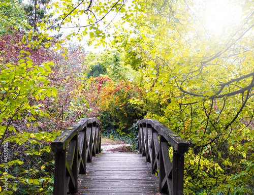 Naklejka - mata magnetyczna na lodówkę Bridge in the forest