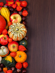 Wall Mural - Thanksgiving border