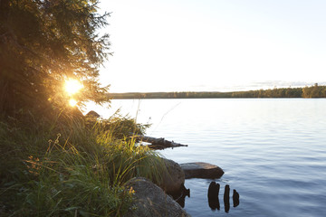 Wall Mural - Sun shining through leaves, calm lake, Sweden, Dalarna