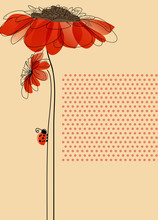 Elegant Vector Card With Flowers And Cute Ladybug