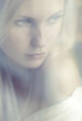 © VectorART - portrait of a beautiful blonde through the glass