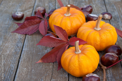 Naklejka nad blat kuchenny Herbst