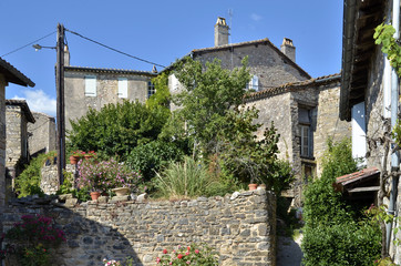 Wall Mural - Old village of Puycelsi in France