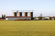 canvas print picture - silos agriculture buildings
