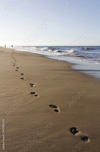 Naklejka na drzwi Die Spur am Strand