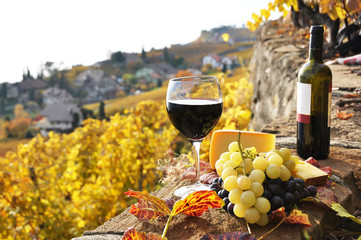 Wall Mural - Red wine and grapes on the terrace of vineyard in Lavaux region,