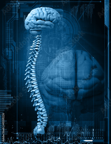 Nowoczesny obraz na płótnie abstract design with the brain and the spine