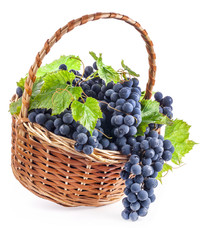 Wall Mural - Dark grapes with leaves in a wicker basket, Isolated on white