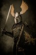 © Nejron Photo - Medieval knigh with a sword