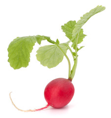 Wall Mural - Small garden radish with leaves