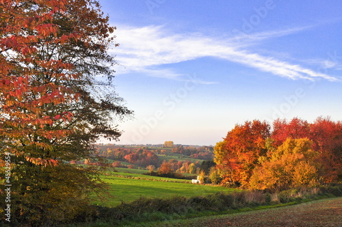 Obraz na płótnie canvas trzyczęściowy "tryptyk" Herbstwald