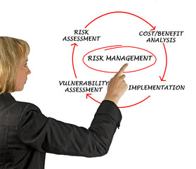 Wall Mural - Diagram of risk management