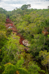 Wall Mural - View of Cano Cristales in Colombia