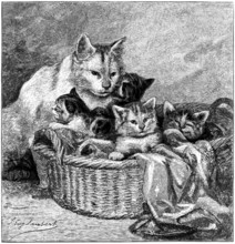 Maternity, Cat With Kittens, Vintage Engraved Illustration