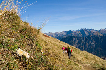 Canvas Print - Allgäuer Alpen - Deutschland