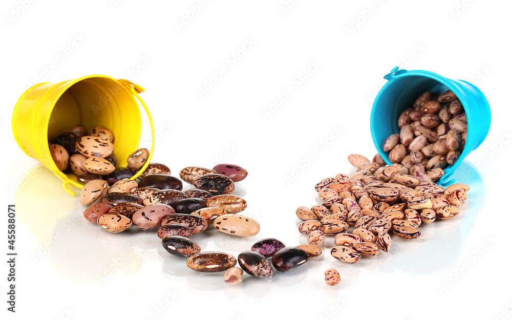 Brown beans in blue and yellow bucket isolated on white