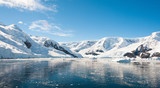 Fototapeta Zwierzęta - Sunny mountains landscape in Antarctica