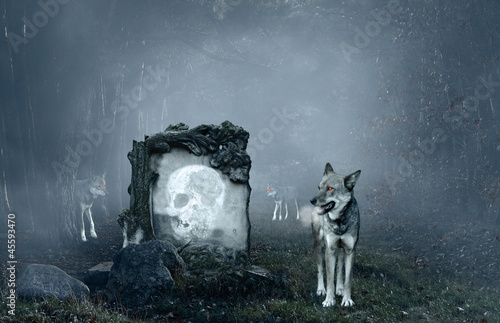 Plakat na papierze fotorealistycznym Wilki strzegące starego grobu