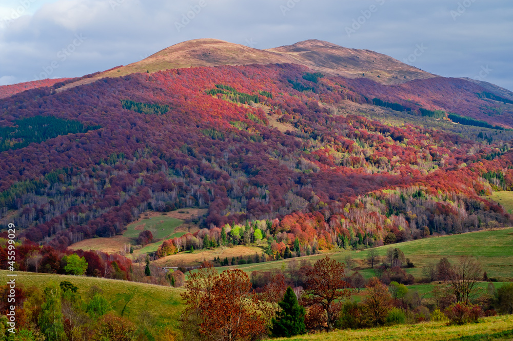 Jesień w górach, Bieszczady - obrazy, fototapety, plakaty 