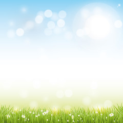 Spring vector background