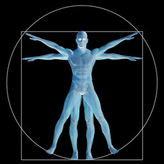 Wall Mural - Vitruvian human or man as concept