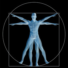 vitruvian human or man as concept