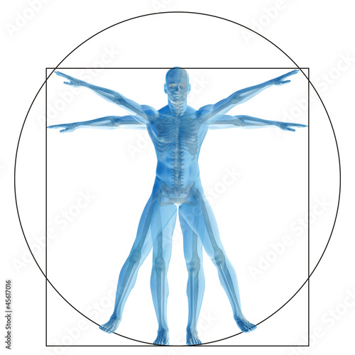 Naklejka na meble Vitruvian human or man as concept