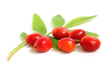 Fresh Rose Hips With Leaves
