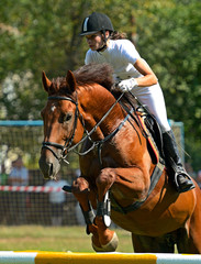 Wall Mural - riding