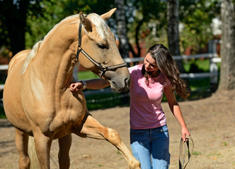 Wall Mural - Horse