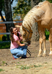 Wall Mural - Horse