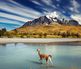 Fototapeta  - Torres del Paine National Park, Chile