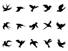Simple Bird's Flying Silhouettes