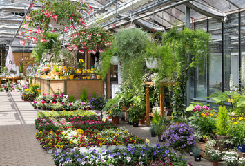 garden center selling plants in a greenhouse