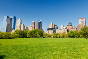 Fototapete - Central park at sunny day