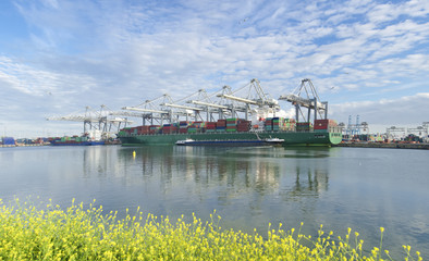 container ship in harbor