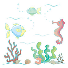 Sea Animals And Plants